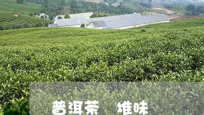 普洱茶 堆味/2023042966912